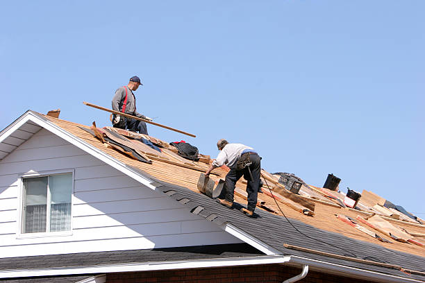 Best Skylight Installation and Repair  in Byhalia, MS